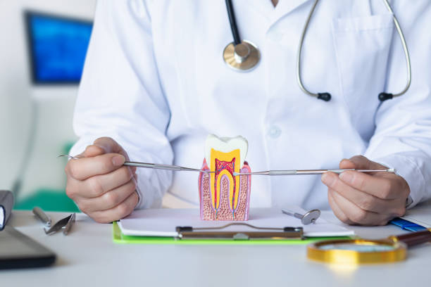 Best Pediatric Emergency Dentist in Concord, VA